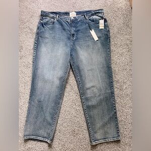 Habitual 22w high rise straight leg jeans